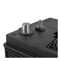 EverStart MARINE MAXX-DC31DT, 12 Volt, Marine/RV Battery, Group Size 31, 800 MCA, EverStart, Marine Battery