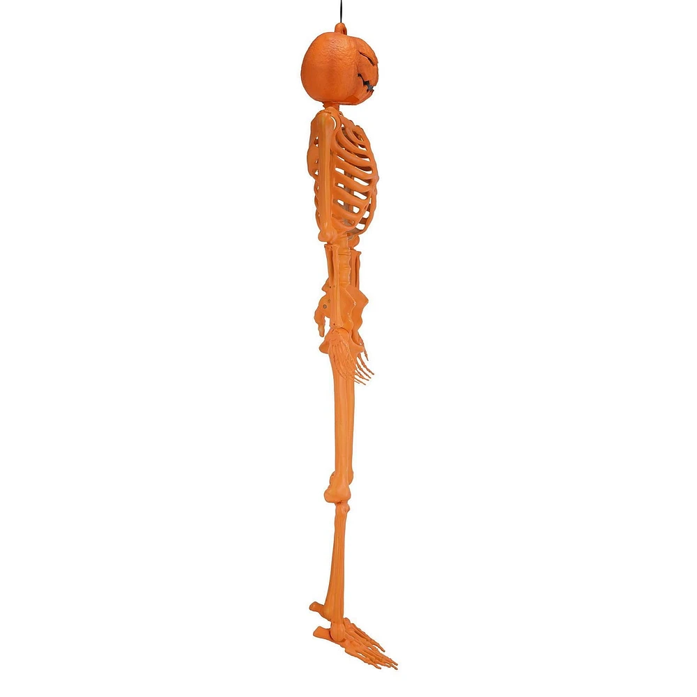 Way to celebrate 59.84-Inch/152 cmPosable Skeleton