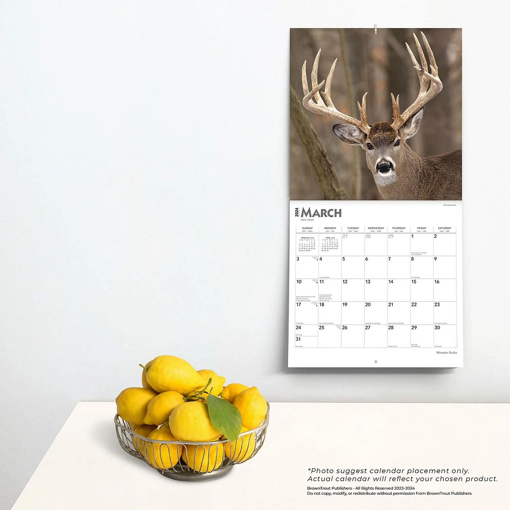 BrownTrout Monster Bucks 2024 12x24 Inch Square Wall Calendar, 9781975464073