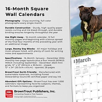 BrownTrout Staffordshire Bull Terriers 2024 12x24 Inch Square Wall Calendar, 9781975465193