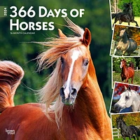 BrownTrout 366 Days of Horses 2024 12x24 Inch Square Wall Calendar, 9781975463137