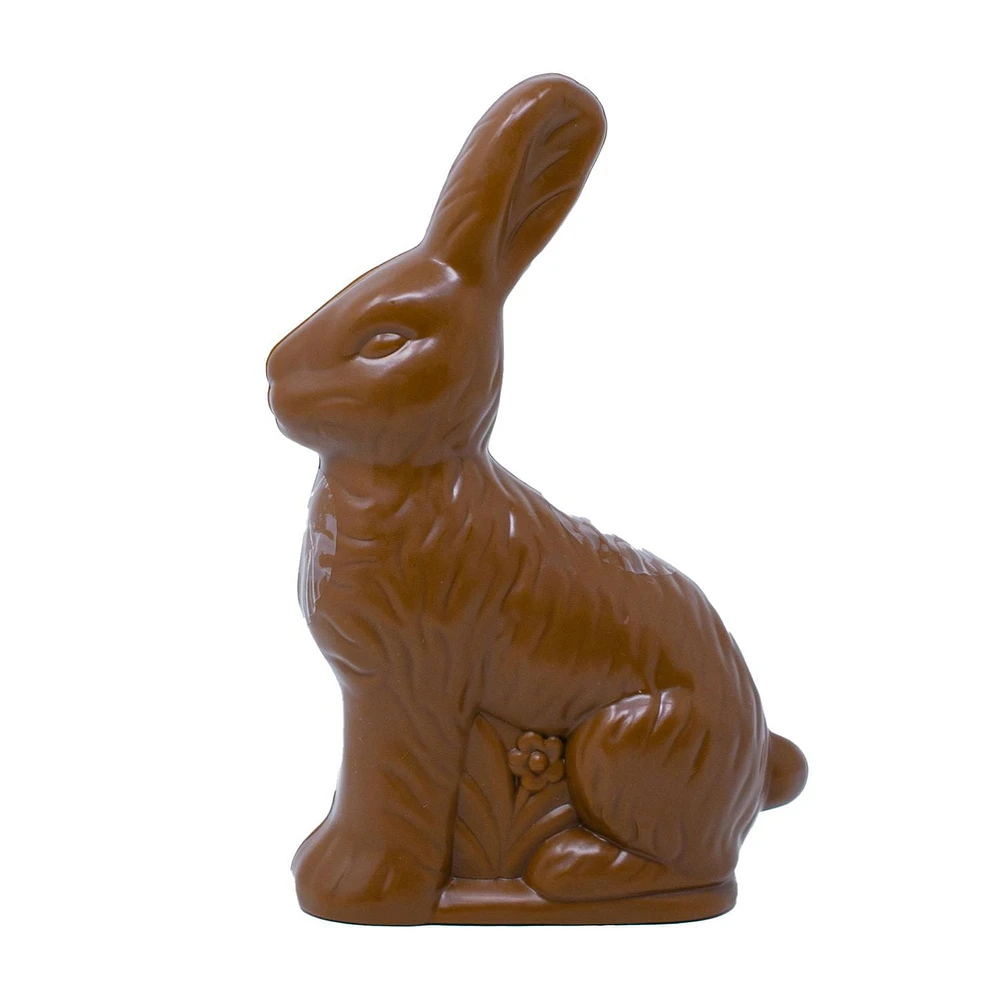 Récipient à friandises en forme de lapin en chocolat en plastique