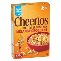 Cheerios Honey Nut Medley Crunch Cereal