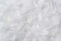 Royal Elite All-Season White Goose Feather Duvet
