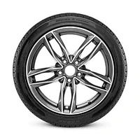 Radar Dimax 4 Season 295/35R21XL 107W BSW Tire