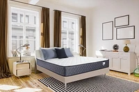 Springwall ANDREA 8" Firm Tight Top Pocket Coil Mattress in a box