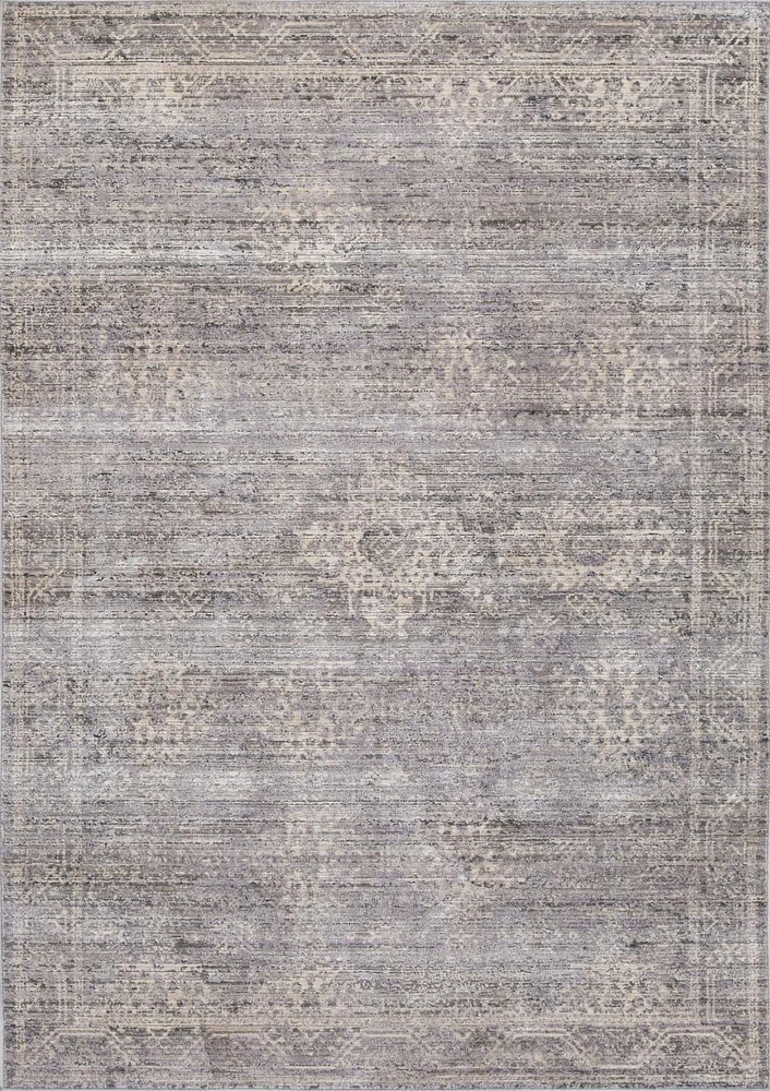 Aiden 8x11 Area Rug,