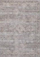Aiden 8x11 Area Rug,