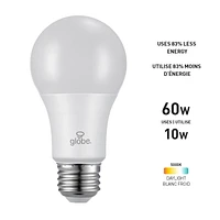 Ampoule en plastique DEL A19 gradable de Globe Electric, équivalente à un éclairage de jour de 60W (5000K), base E26, 800 lumens, 30995