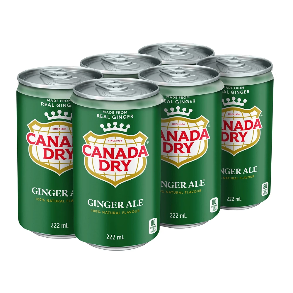 Canada Dry® Ginger Ale 222 mL Mini-Cans, 6 Pack, 6 x 222 mL