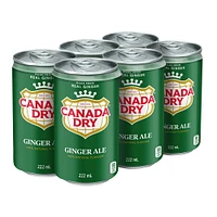 Canada Dry® Ginger Ale 222 mL Mini-Cans, 6 Pack, 6 x 222 mL