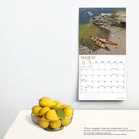 Wyman Publishing Le Pays des Châlets (Cabin Country) 2024 30.48x60.96 CM Mur Carré Calendrier, 9781525611766