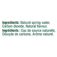 PERRIER Ginger Lime Carbonated Natural Spring Water with Natural Flavour, No Calories, No Sweeteners, No Sodium, Can 2.64 kg