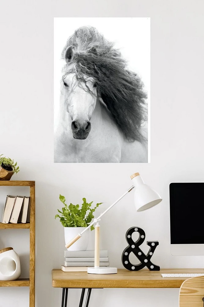 Grayscale Horse Wall Poster, 22.375" x 34"