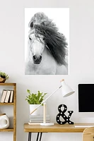 Grayscale Horse Wall Poster, 22.375" x 34"