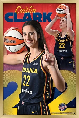 WNBA Indiana Fever