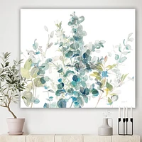 Designart Eucalyptus Natural Element Canvas Wall Art