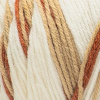 Red Heart® All In One Flower Power™ Fil acrylique peigné n° 4 (moyen), 8,8 oz/250 g, 417 yards