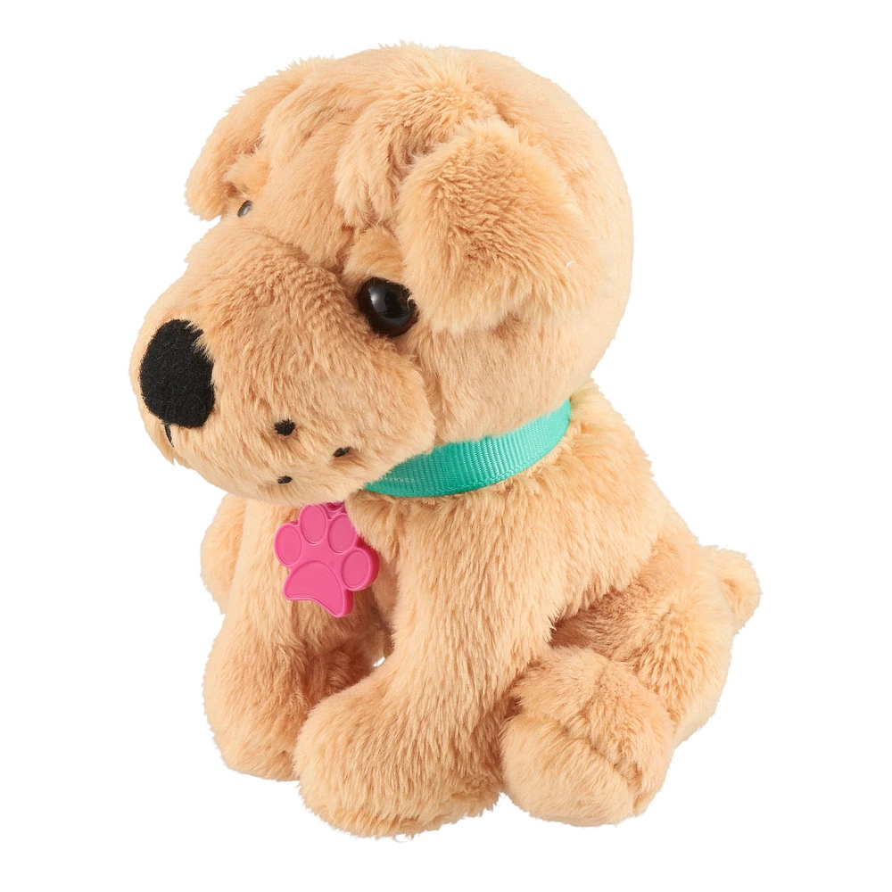 SHAR PEI - FRENCH