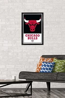NBA Chicago Bulls