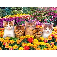 Kodak 550 Piece Jigsaw Puzzle - Cute Kittens in the Grass, Kodak Prem 550PC Puzzle