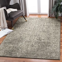 Safavieh Evoke Trena Traditional Area Rug