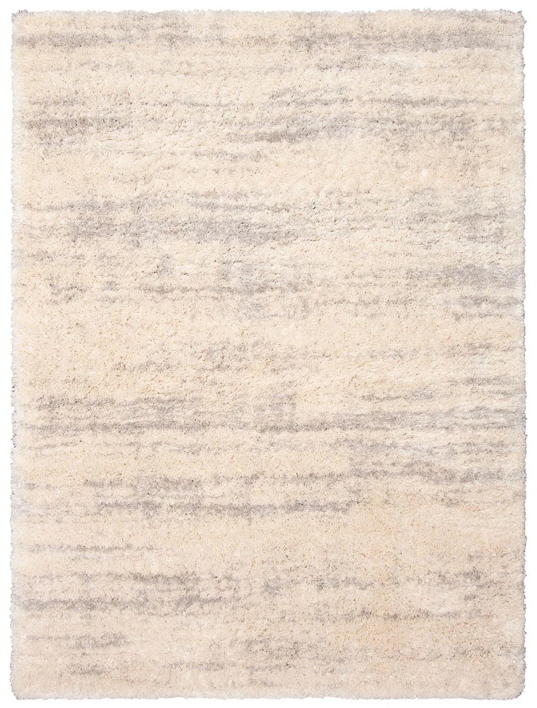 ECARPET Tapis Frise Contemporain pour Salon, Chambre à Coucher
