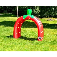 Arroseur tunnel aux fraises - 3 arches