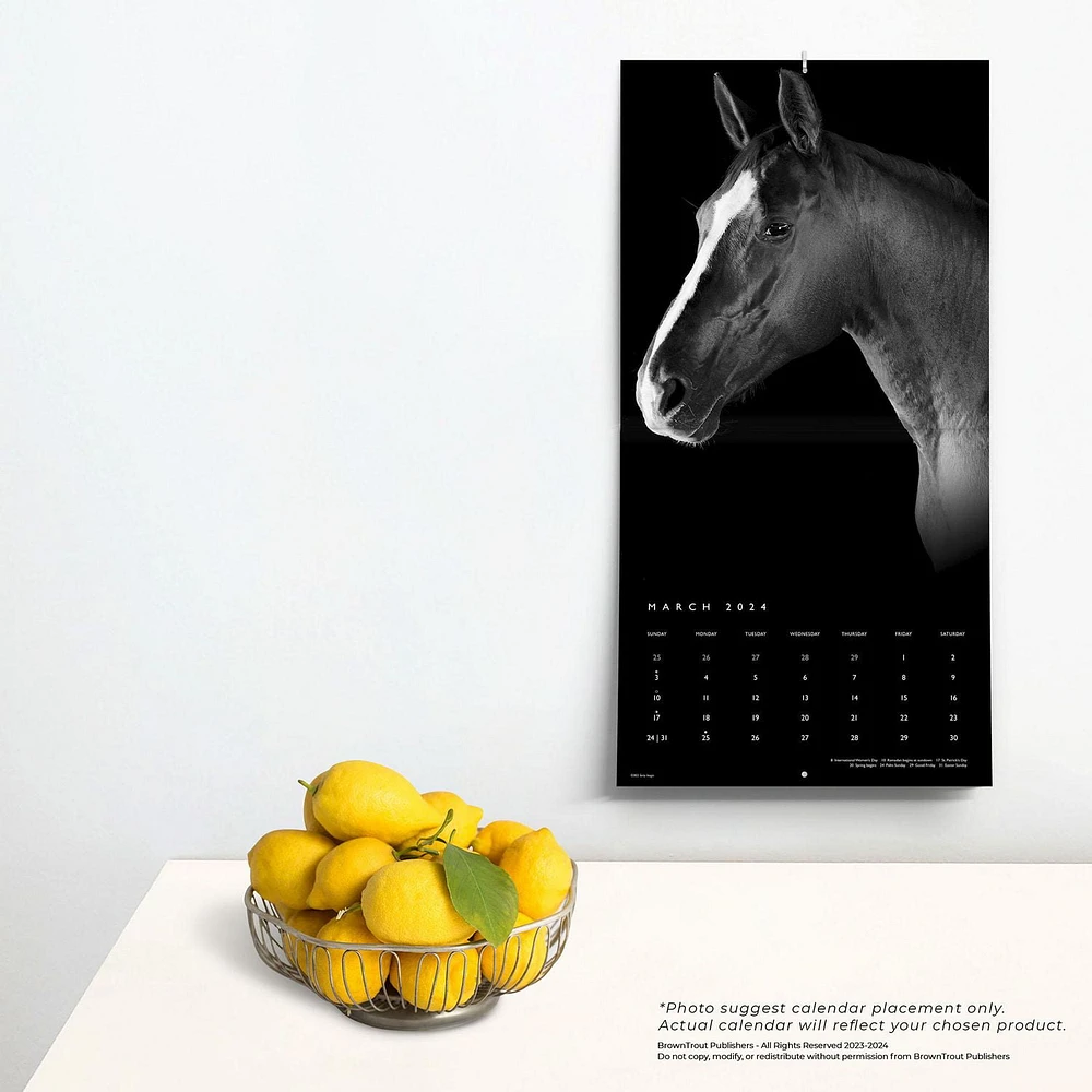BrownTrout The BrownTrout Portrait Series: The Noble Horse 2024 12x24 Inch Square Wall Calendar, 9781975463120