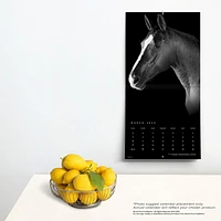 BrownTrout The BrownTrout Portrait Series: The Noble Horse 2024 12x24 Inch Square Wall Calendar, 9781975463120