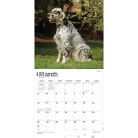 BrownTrout Chiens d'arrêt anglais 2024 Mur Carré 30.48x60.96 CM, 9781975467883