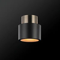 Plafonnier quasi affleurant en métal Stanley par Globe Electric à 1 ampoule, noir mat, accent laiton antique, 61106