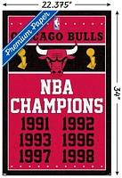 NBA Chicago Bulls - Champions 13 Wall Poster, 22.375" x 34"