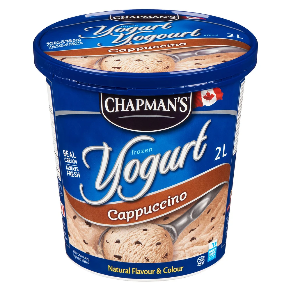 Chapman's Frozen Yogurt Cappuccino