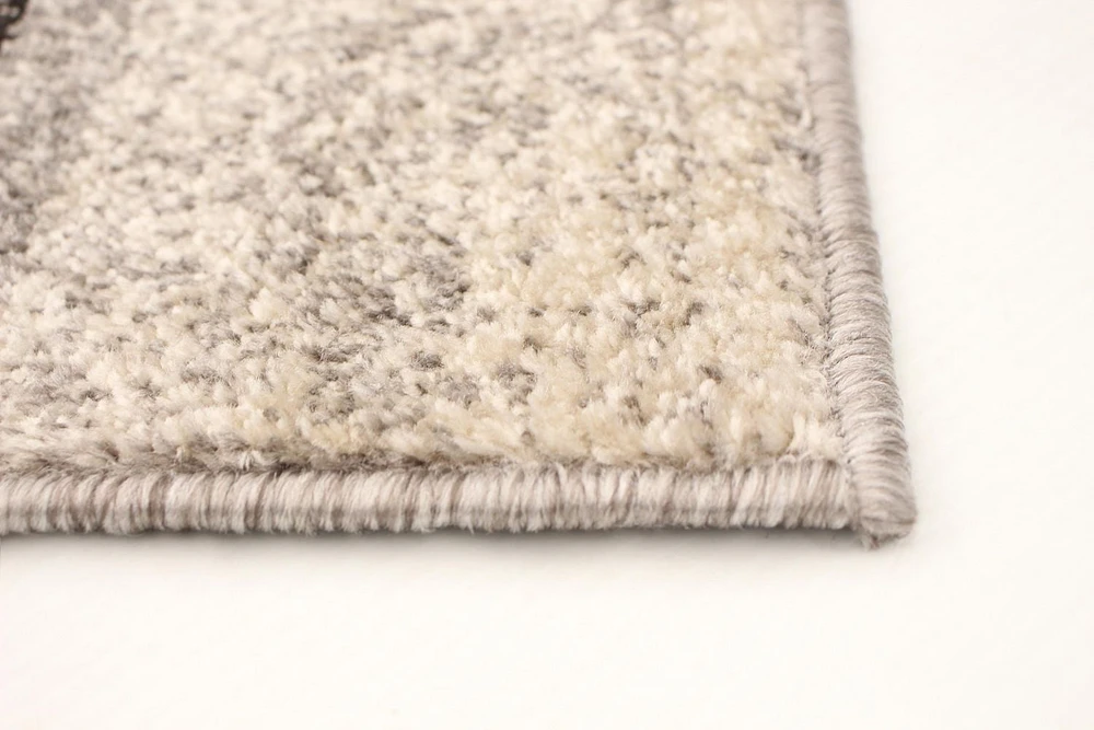 ECARPET Area Rug for Living Room, Bedroom, Soft & Plush Ayla Collection