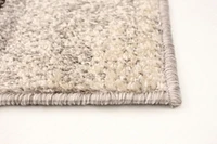 ECARPET Area Rug for Living Room, Bedroom, Soft & Plush Ayla Collection