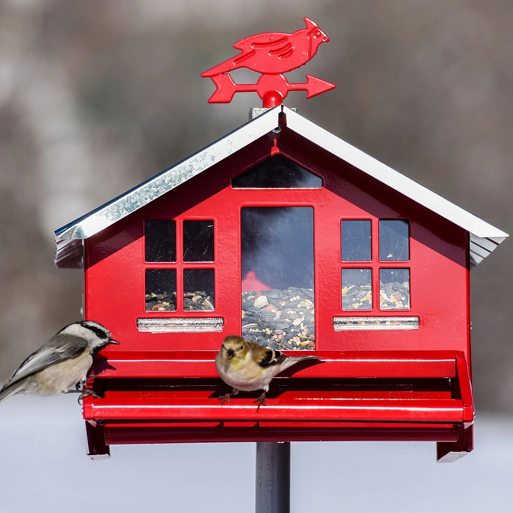 Mangeoire maisonnette Squirrel Be Gone II avec girouette de Perky-Pet