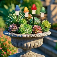 Champignons Piquet pour pot