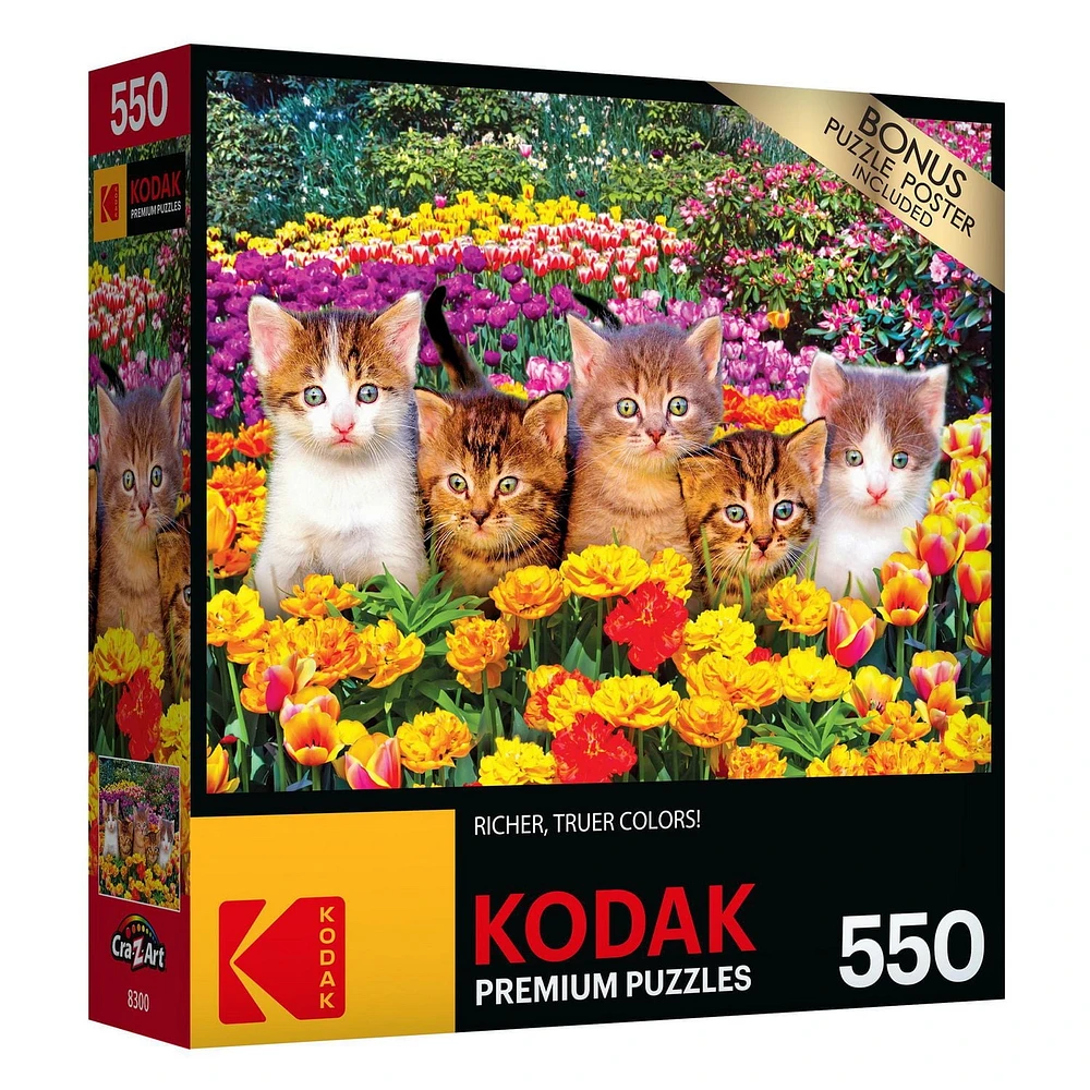 Kodak 550 Piece Jigsaw Puzzle - Cute Kittens in the Grass, Kodak Prem 550PC Puzzle