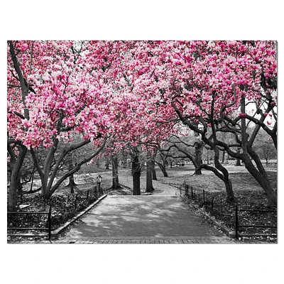 Designart Fleurs de cerisier Art mural sur toile