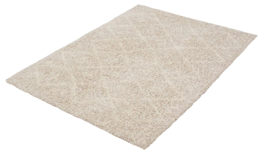 ECARPET Geometric Shag Area Rug for Living Room, Bedroom, Ultra Soft & Plush