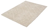 ECARPET Geometric Shag Area Rug for Living Room, Bedroom, Ultra Soft & Plush