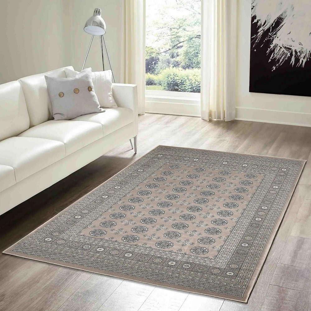 ECARPET Bokhara Oriental Area Rug for Living Room, Dining Room, Bedroom