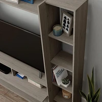 Sauder La Collection Beginnings Meuble, Finition Silver Sycamore, 428240