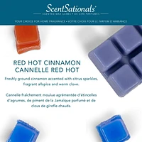 ScentSationals Scented Wax Cubes - Red Hot Cinnamon, 2.5 Oz