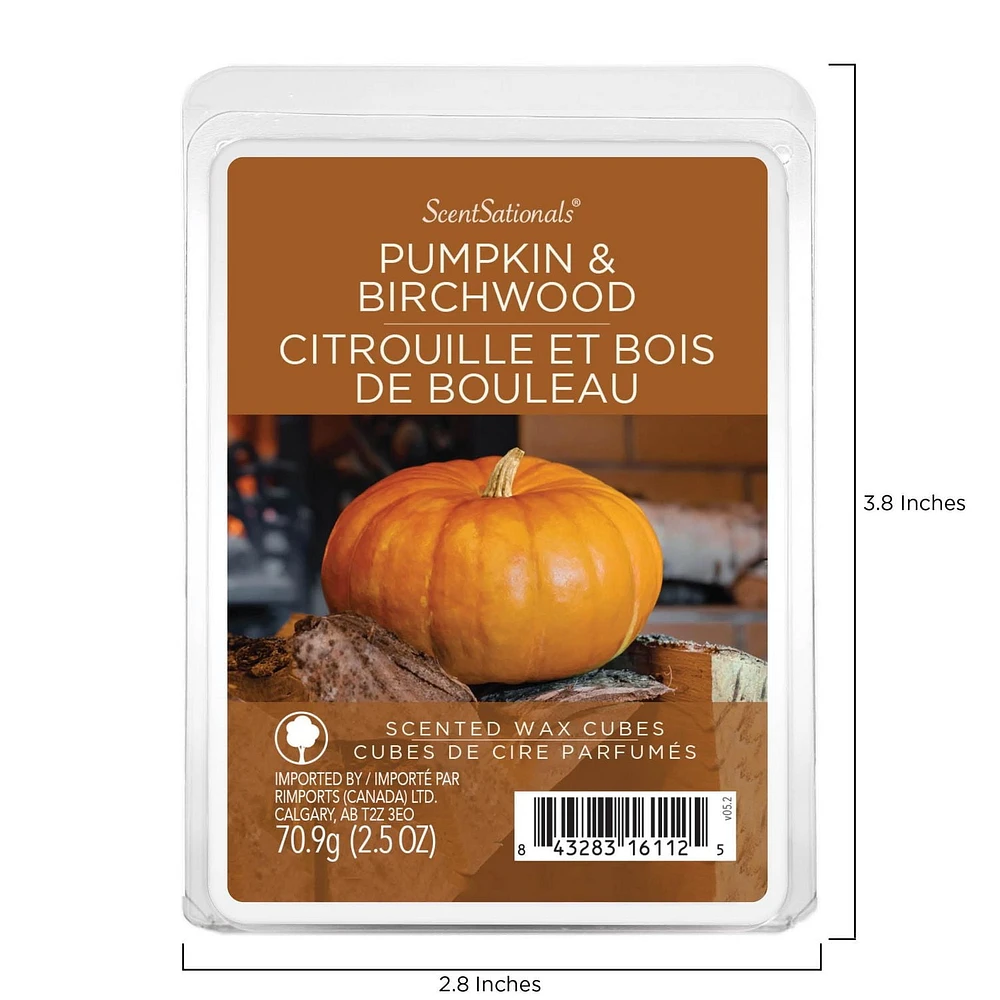 ScentSationals, Cubes de cire parfumés - Citrouille et bois de bouleau 2.5 oz (70.9 g)