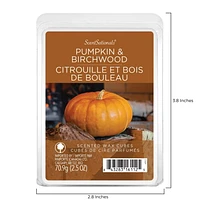 ScentSationals, Cubes de cire parfumés - Citrouille et bois de bouleau 2.5 oz (70.9 g)