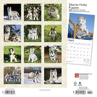 BrownTrout Siberian Husky Puppies 2024 12x24 Inch Square Wall Calendar, 9781975465087