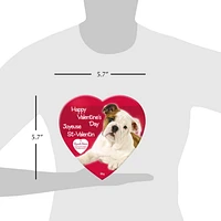 Russell Stover Valentine Pet Heart Box