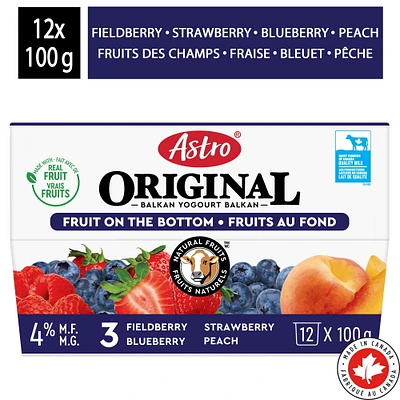 Astro Original Yogourt Fruits au fond Pêche, Fraise, Bleuet, Fruits des Champs 4 % 16x100g